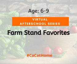 The image for Age 6-9 VIRTUAL SERIES: Farm Stand Favorites