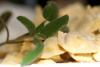 The image for Adult and Child Workshop: Pasta Dinner from Scratch!