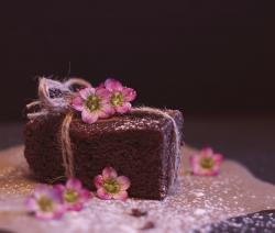 The image for Private Event: Brownie Troop