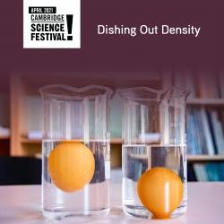The image for Little Chefs Lab: Dishing Out Density